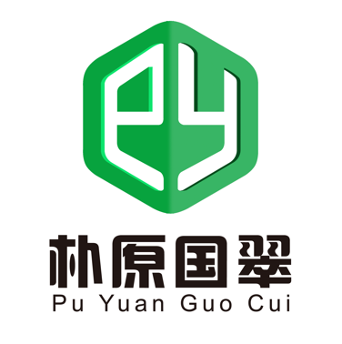 朴原国翠logo.png